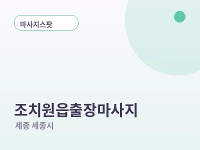 세종 조치원읍 출장마사지